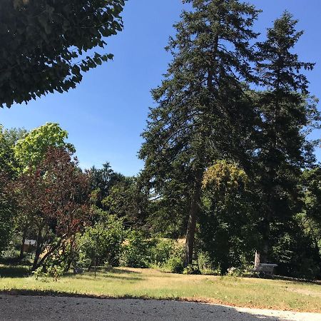 Charmant F1 Avec Terrasse Et Vue Sur Jardin Arbore - Fraicheur Naturelle Du Rez De Jardin - Parking Бельрив-сюр-Альє Екстер'єр фото