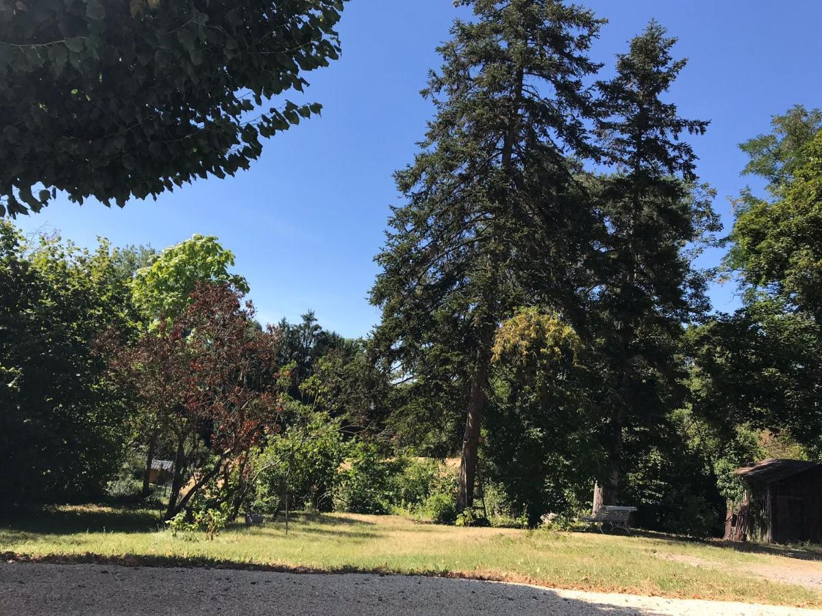 Charmant F1 Avec Terrasse Et Vue Sur Jardin Arbore - Fraicheur Naturelle Du Rez De Jardin - Parking Бельрив-сюр-Альє Екстер'єр фото